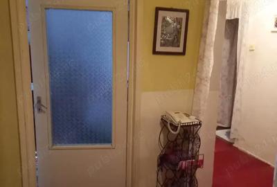 Apartament cu 3 camere decomandat în Luncă - 5