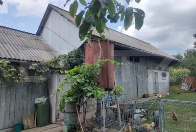 Casă cu 4 camere cu Teren 2190 Mp în Mihăileni
