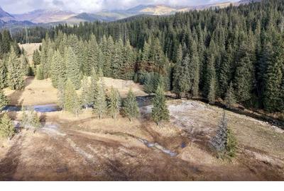 Teren intravilan de 5000 mp, în Moroeni - 5