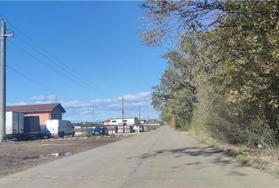 Teren de 10550 mp, în Joița - 5
