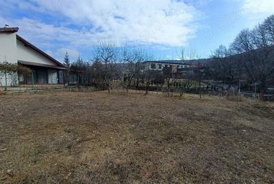 Teren de 1195 mp, în Făget