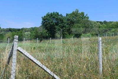 Teren extravilan de 1000 mp, situat pe strada Ghinzii - 2