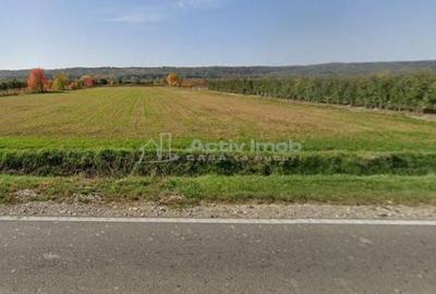 Spațiu comercial, în Mânjina - 2