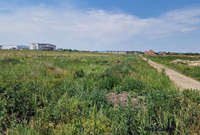 Teren Construcții intravilan de 20000 mp, în Ferme - 3