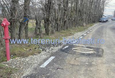 Teren Balotesti, apropiere Dn1 si sens giratoriu, 650mp - 17