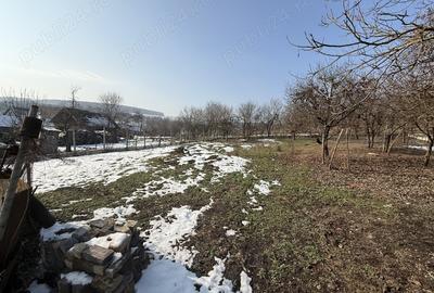 Casă cu 3 camere în Coșeiu - 1