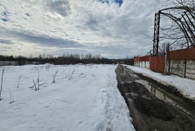 Teren Construcții intravilan de 3100 mp, în Giulești - 5