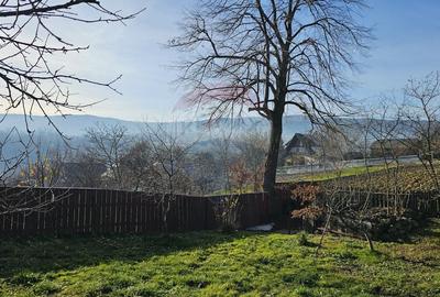 Casă / Vilă cu 3 camere de vânzare-Cacica-Suceava - 26