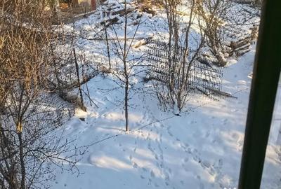 Casă cu 7 camere cu Teren 1034 Mp în Cioplea - 2