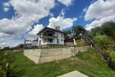 Casa de vacanta superba cu vedere la Dunare - Topalu, Constanta - 8