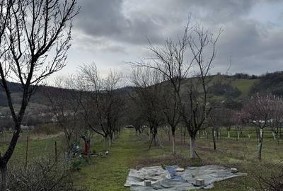 Spațiu comercial, în Orșova - 2