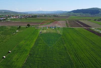 Teren de vanzare 8.700 mp in Livada comuna Iclod - 12