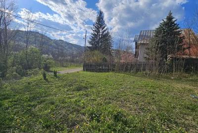 Teren în Brebu - 3