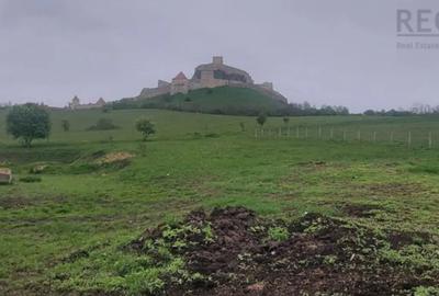 Teren de 14000 mp, în Rupea - 1