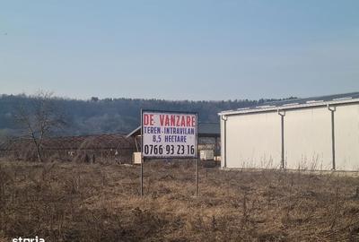 Spațiu comercial, în Mărăcineni - 8