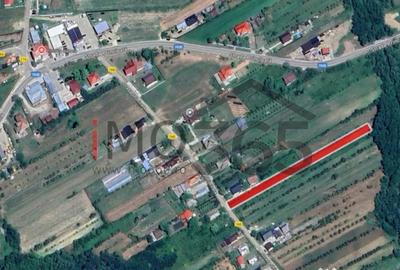 Teren de 2893 mp, în Băbana - 1