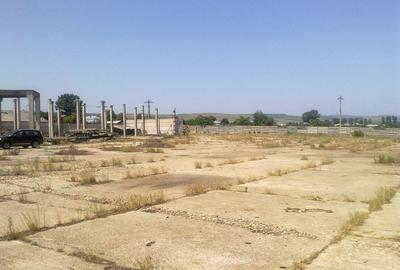Teren Construcții intravilan de 13062 mp, în Brăhășești - 3
