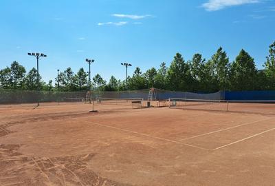 Teren intravilan 3707 mp - Aviatiei - 8