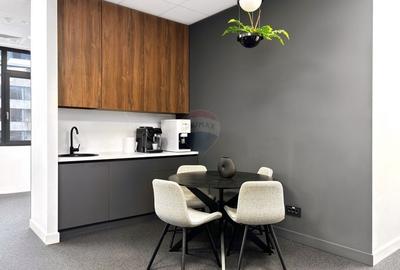 Spatiu de birouri ultramodern, Piata Victoriei - 15