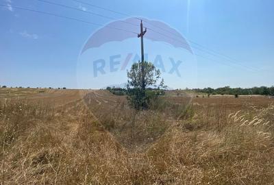 Teren cu hala, Bucsani, Crevedia / DN 61 (A1, A0) 40 Km de Bucuresti - 17