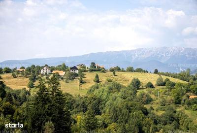 Spațiu comercial, în Sohodol - 13