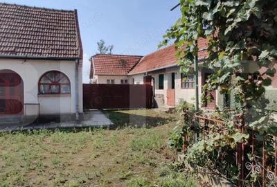 Casa mare cu gospodarie completa Belin?, jude?ul Timi? teren 4.900 mp - 7