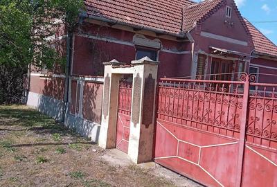 Casă cu 3 camere cu Teren 1400 Mp în Agrișu Mare - 2