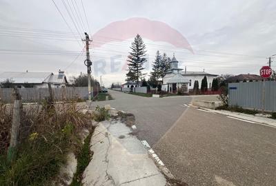 Casa 4 camere Rachitosu - 13