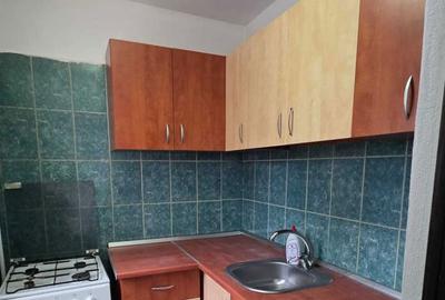 Apartament cu 2 camere în Craiovița Nouă - 3