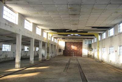 Teren intravilan 15.000 mp cu 3 hale industriale - Poarta Alba - 4