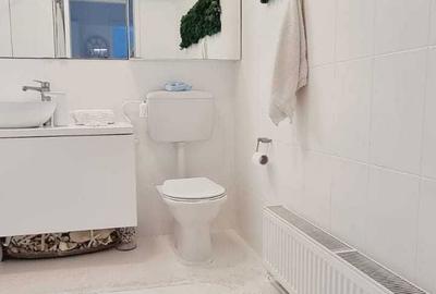 Apartament cu 3 camere semidecomandat, mobilat în Doamna Ghica - 6