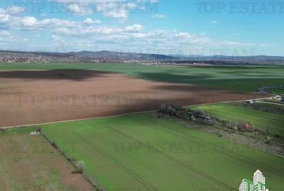 Teren intravilan 24611 mp, Ideal retail, logistica, birouri - 2