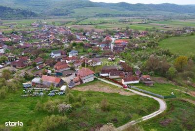 Spațiu comercial, în Criș - 5