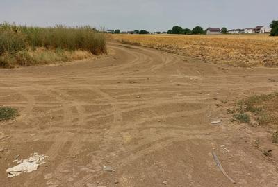 Teren intravilan,328 mp,str. Intre Vii.Sub pretul zonei !!! Teren intravilan,328 mp,str. Intre Vii.Sub pretul zonei !!! - 3