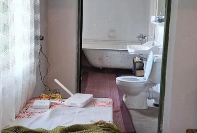 Casă cu 2 camere cu Teren 4098 Mp în Deagu de Jos - 9