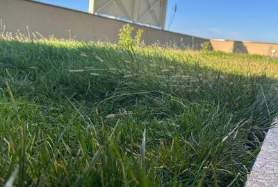 Loft spatios, etaj 12, cu terasa mare gazon natural - 13