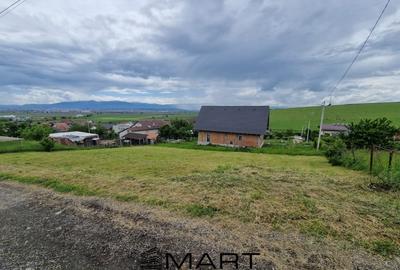 Teren intravila Sura Mare 1000mp - 1