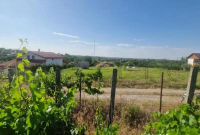 Teren de 1100 mp, în Nufăru - 5