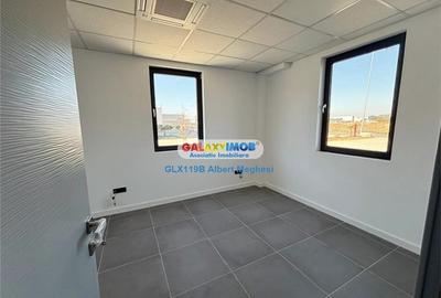 Inchiriere hala depozitare Parc Industrial TBM Rudeni Inchiriere hala depozitare Parc Industrial TBM Rudeni - 13