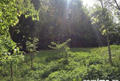 Teren de 2508 mp, în Aluniș