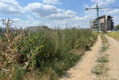 Teren Construcții intravilan de 2500 mp, în Nord-Est - 13