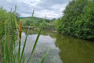 Teren intravilan de 25000 mp, în Exterior Est - 9