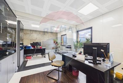 Spațiu industrial, de 472.66000366211 mp, în Theodor Pallady - 29