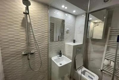 Apartament cu 1 camera in Tatarasi-Doi Baieti - 5