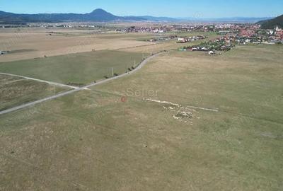 Teren de 14500 mp, în Glăjărie - 8