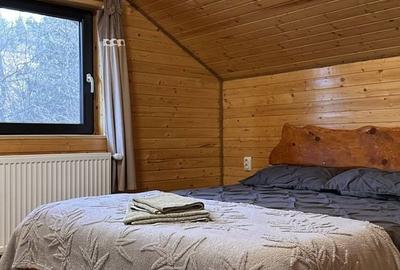 Casă cu 5 camere cu Teren 1000 Mp în Vale - 4