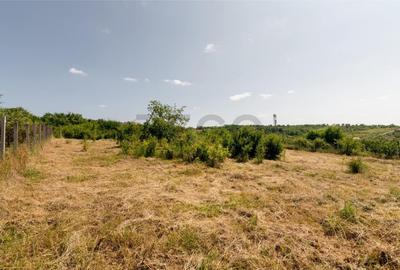 Teren de 1200 mp, în Paleu