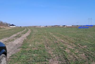 Spațiu comercial, în Sacoșu Turcesc - 6