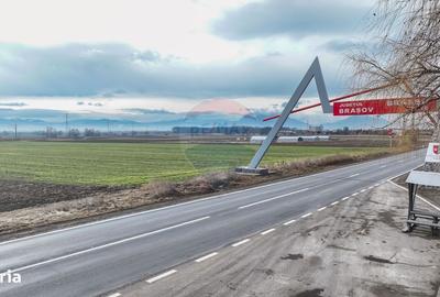 Spațiu comercial, în Lunca Calnicului - 6