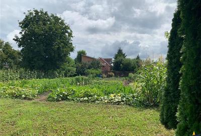 Teren Construcții intravilan de 1409 mp, în Sântana de Mureș - 2